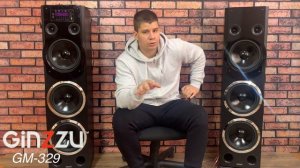 Обзор на напольную акустическую систему 2.0 от GINZZU. Model: GM-329.