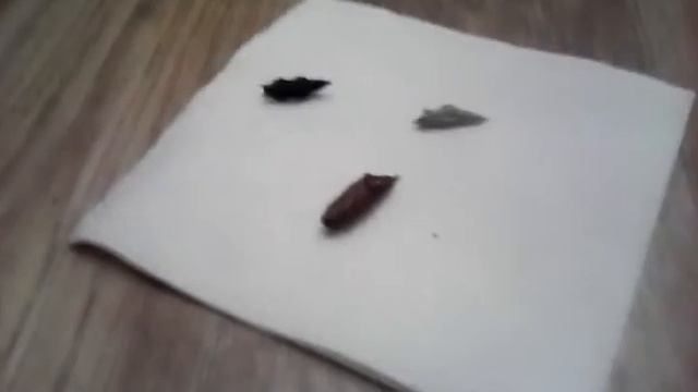 Кто что есть? смотреть онлайн