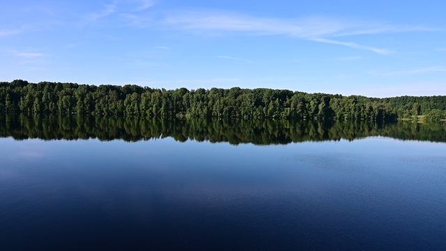 DSC_8448 смотреть онлайн