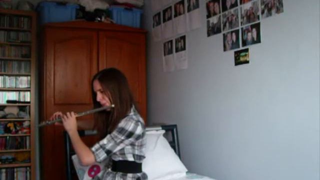 Money, Money, Money Flute 1.wmv смотреть онлайн