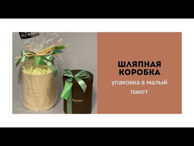 Шляпная коробка в малом пакете смотреть онлайн
