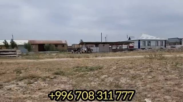 ай Шамал шамал ?ТЕЗ ШАМАЛ АРЗАН АТТАР ДАСТАНДА