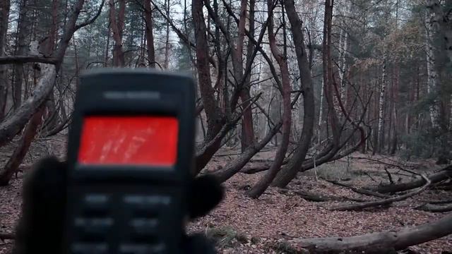 10 Черепов Аномалия Пьяный Лес день смотреть онлайн