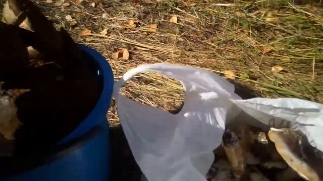 Печенеги , грибы в октябре смотреть онлайн