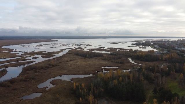 Великолепные виды на Кавголовское озеро и Сестрорецк с высоты | DJI Mavic Mini смотреть онлайн
