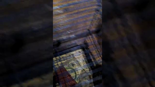 Потому что я дэгу смотреть онлайн