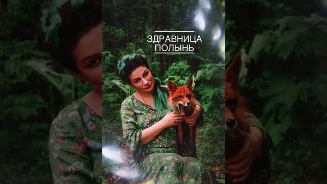 Вызвать роды / Ритуал смотреть онлайн