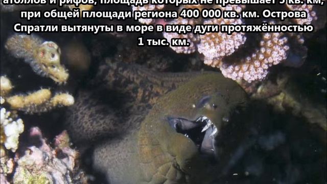 9M0O Острова Спратли. С сайта dxnews.com смотреть онлайн