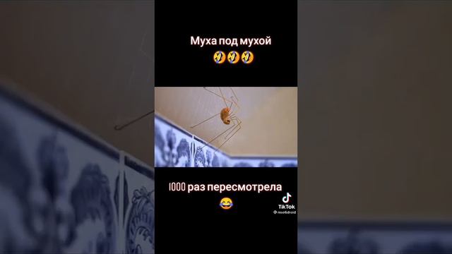 Муха под мухой 🤣🤣🤣🤣🤣🤣🤣🤣🤣 смотреть онлайн