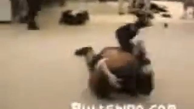 Кто кого; дзюдо против кунфу Брюс Ли против Ройса Грэйси) смотреть онлайн