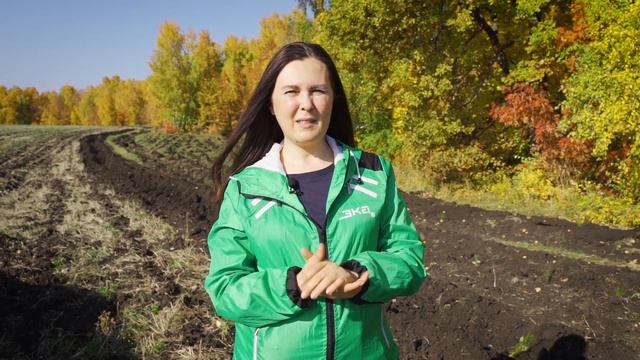 Посадка леса в Башкортостане. 02.10.2020 смотреть онлайн