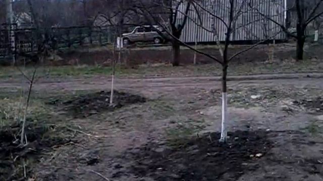 Берег р.Днепр