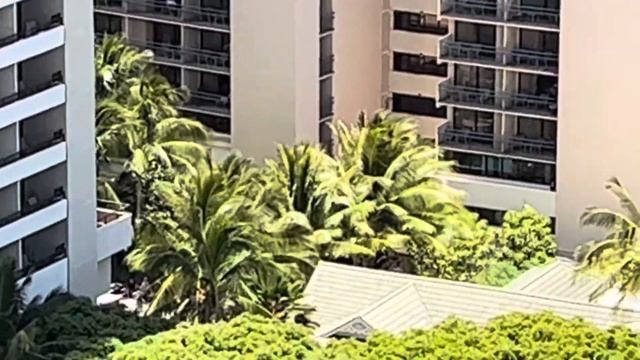 POOL TOUR of 3 Pools at Hilton Hawaiian Village - Super Pool, Tapa Pool and Paradise Pool w/ Slides смотреть онлайн