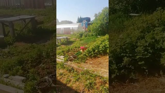 К нам пришла жара / Всходит картофель / Купили гитару / Городские Поселковые 🏡 серия 17 👨👩👧👦 смотреть онлайн