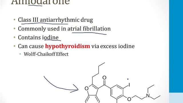 Endocrinology - 1. Thyroid - 1.Thyroid Gland atf смотреть онлайн