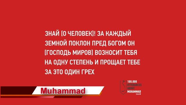 100K Muhammad 20.mp4 смотреть онлайн
