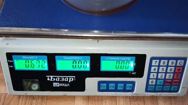 Гречишный мёд разливаем сразу в ведерки смотреть онлайн