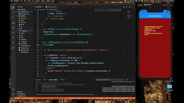 09 Flutter - Http Request JSON смотреть онлайн