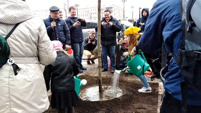 Посадка клёнов на пл.Восстания, г.Санкт-Петербург, 29.09.2019г.(6 часть) смотреть онлайн