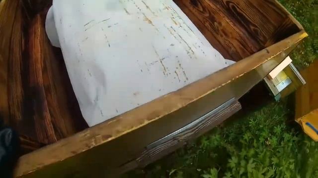 Пчелиная пасека с нуля 15 серия. Забрали остатки меда смотреть онлайн
