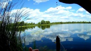 Рыбалка на поплавок  Секрет мастырки и ловли