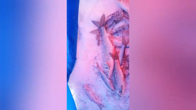 трофейный елец, рыбалка в ненастный день 1 апреля 2020 смотреть онлайн