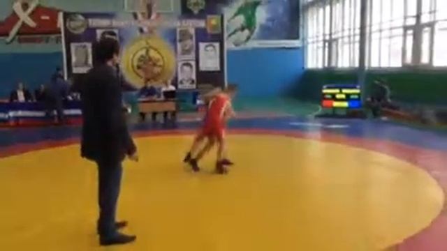 Соревнования по греко-римской борьбе. смотреть онлайн