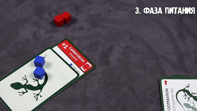 Настольная игра Эволюция Подарочный набор #Обзорправил смотреть онлайн