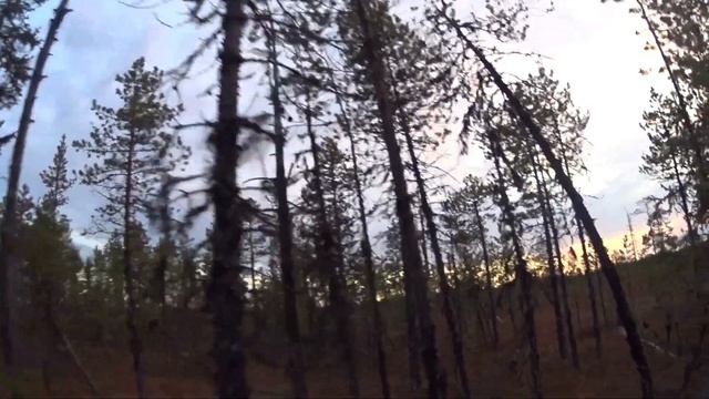 В ЛЕС / ВЕРХ ПО РЕКЕ НА 4 ДНЯ/ ОХОТА с ЛАЙКАМИ /СОБАКА РАБОТАЕТ ПО КУНИЦЕ И НОРКЕ 1 серия. смотреть онлайн