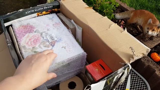 Пришла посылка от Ольги из Англии!!