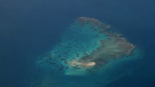 Fiona has a life-long passion for the Great Barrier Reef | Great Barrier Reef Marine Park Authority смотреть онлайн