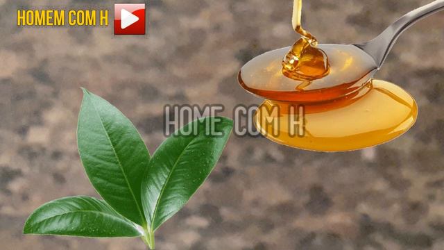 BOMBA! Essa Erva Simplesmente é o Melhor VIAGRA NATURAL Do Mundo! смотреть онлайн