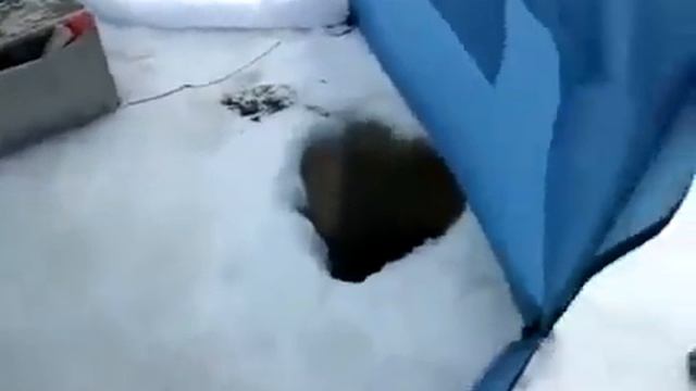 Зимняя рыбалка на леща Тверь смотреть онлайн