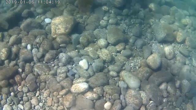 Завтрак аристократов, Море и море развлечений в отеле Ялта-Интурист смотреть онлайн