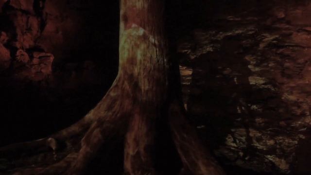 Foresta Lumina - Parc de la Gorge de Coaticook смотреть онлайн