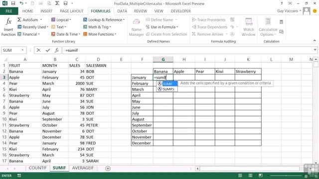 Excel 2013 Advanced: Multiple Criteria Within SUMIF, COUNTIF, And AVERAGEIF - Chapter 10 of 128 смотреть онлайн