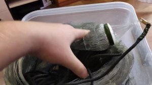 Пара слов про хранение кастинговой сети