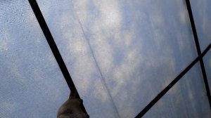 Парник из поликарбоната и металлолома