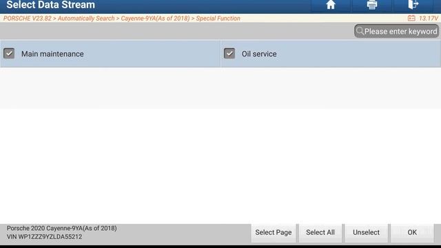 PORSCHE CAYENNE 2020 MAIN MAINTENANCE & OIL SERVICE RESET смотреть онлайн