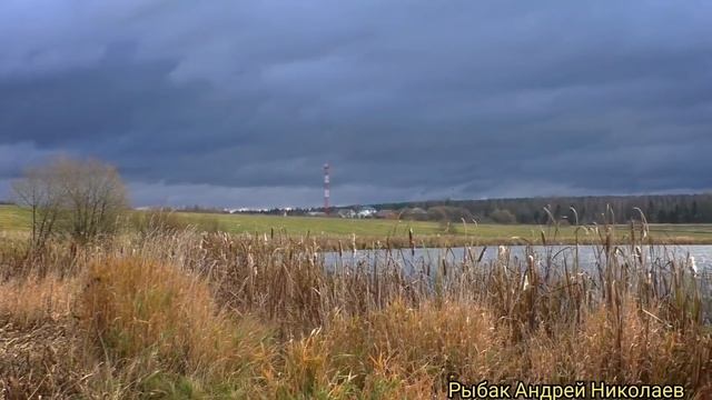 Мормышинг. Портновская. Ловим окуня спиннингом. Рыбак Андрей Николаев. 07.11.2020. Рыба ловится. смотреть онлайн