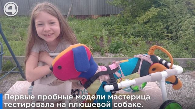 Школьница из Верхней Пышмы мастерит инвалидные коляски для травмированных животных смотреть онлайн