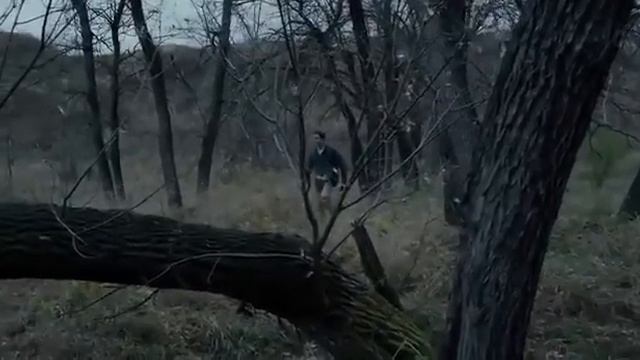 УЖАСЫ, ФИЛЬМЫ УЖАСОВ 