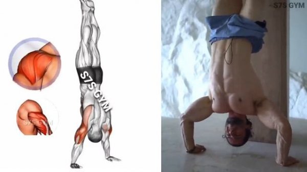 Push ups exercises ?Targets_ Chest, arms, shoulders, core تمارين الجزء العلوي??.mp4