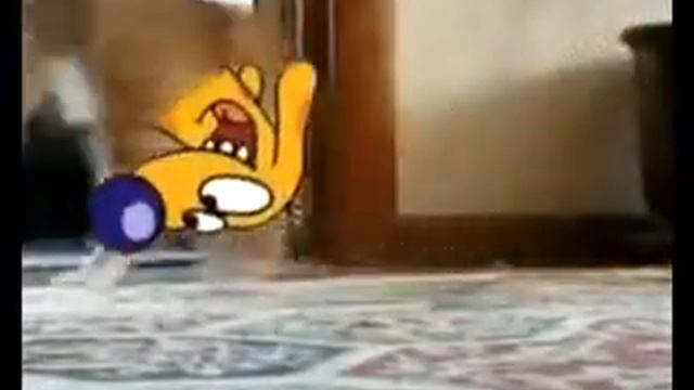 Кот испугался пакета.flv смотреть онлайн