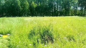 Делитель на косилку