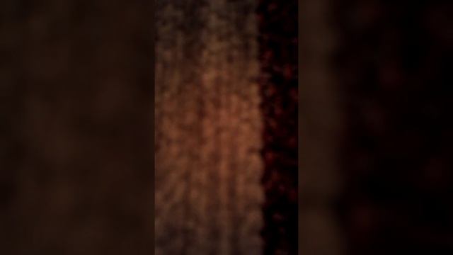 Ненецкая сказка Кукушка смотреть онлайн