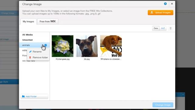 HTML Website Builder | New Media Gallery смотреть онлайн