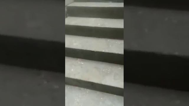 П Образная лестница с забежными ступенями за четыре дня смотреть онлайн