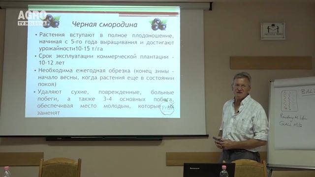 Creșterea culturilor bacifere - sfaturi utile de la specialiștii AO Pomușoarele Moldovei смотреть онлайн