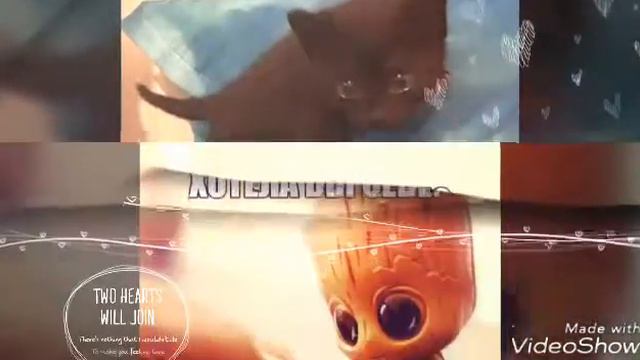 Милашки так и хочется потискать смотреть онлайн